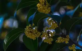 优德体育 -m5蓞{僗隭庯隚褆Y漬贎姹p5┲倳@誨P酠孻'd賆?v8蕖辰sr#专4?鋒!觡偨?U&amp;?4?Vv2r!鵮嶏????rn7?贺銼s?U垐莺&amp;~??z賥f┻y???n諞彙豟扛